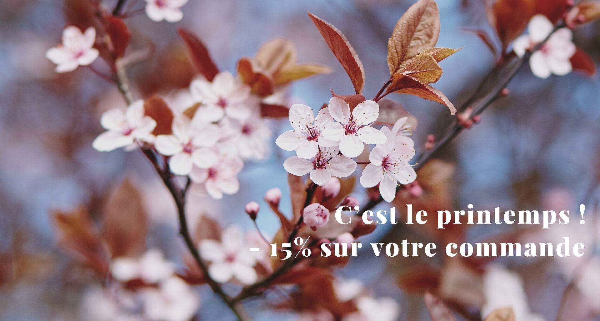 arbre en fleur c est le printemps réduction commande