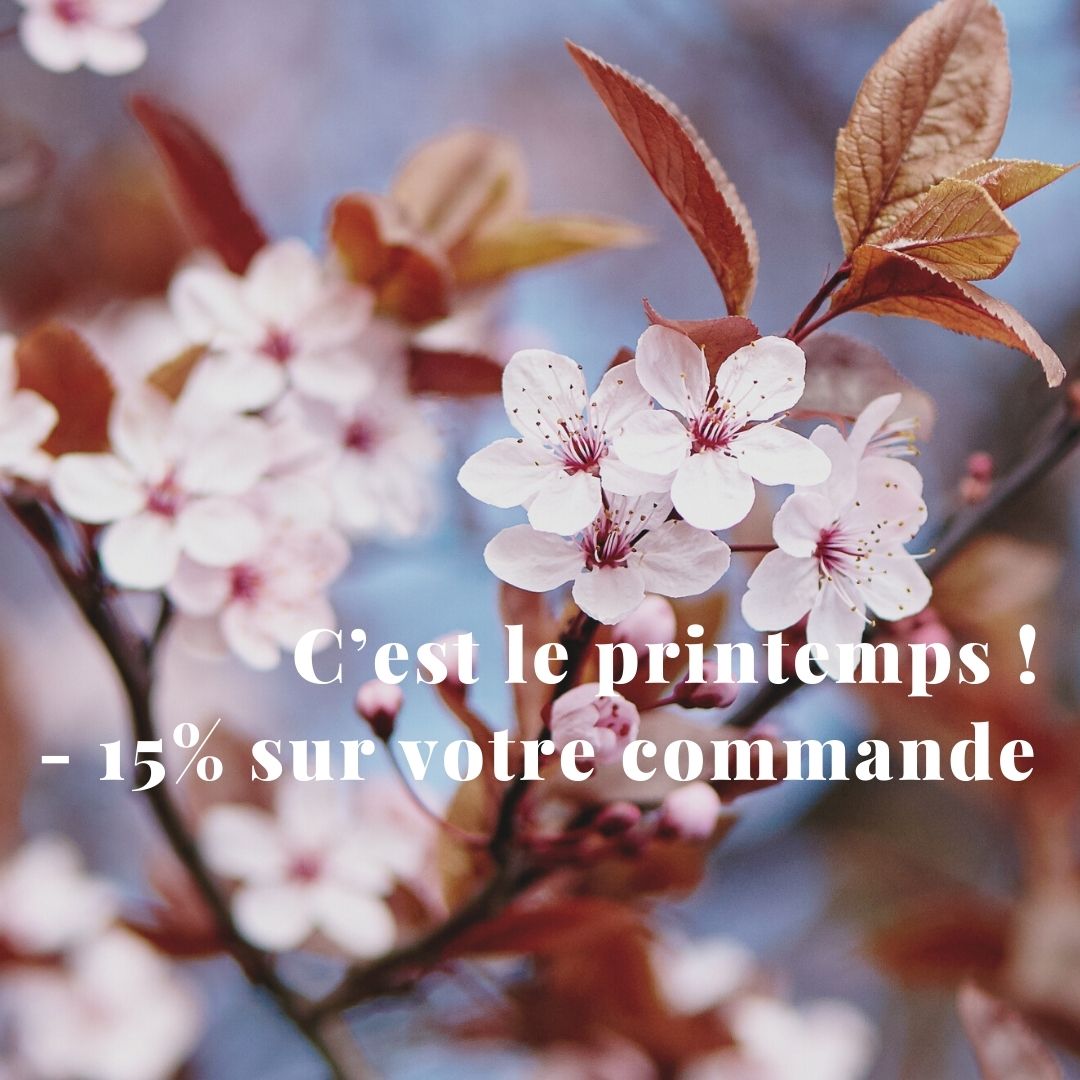 arbre en fleur c est le printemps 